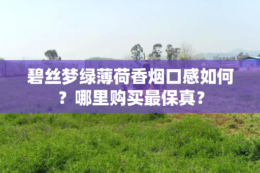 碧丝梦绿薄荷香烟口感如何？哪里购买最保真？